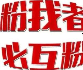 今日头条白山分公司招聘,今日头条招聘新篇章