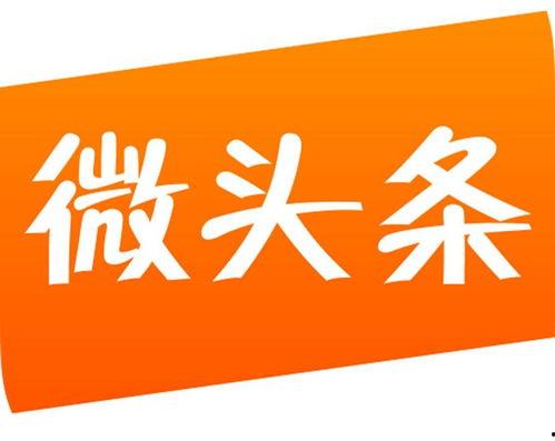 微头条与文章可以都发吗,全方位传播信息新策略