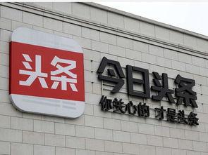 在头条公开发言,揭秘行业热点，共话未来发展