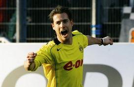 鼠龙明星,揭秘动物界的璀璨明星