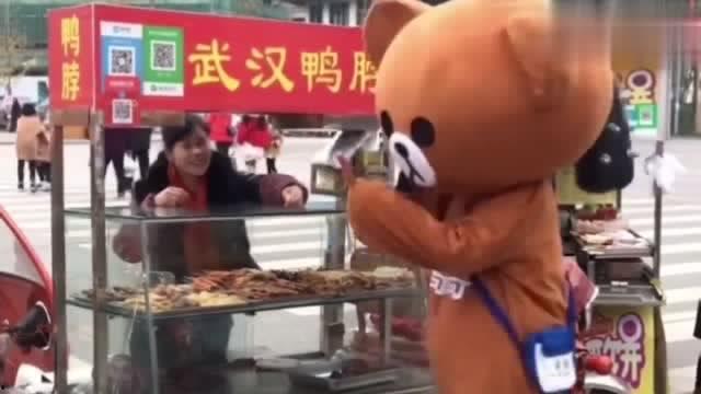 网红熊做生意,从萌宠到商业帝国的蜕变之路