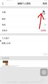 头条图片怎么改成竖着,垂直视角下的创新与突破概览