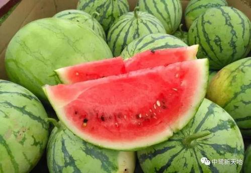 吃瓜搭档,揭秘娱乐圈背后的那些事儿