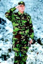 中国当兵明星,当兵明星的风采与荣耀