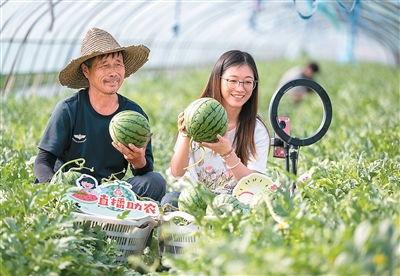 吃瓜返乡,揭秘乡村里的新鲜趣事与变迁