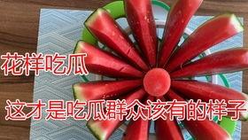 爆火的吃瓜主题,揭秘网络吃瓜文化的火爆现象