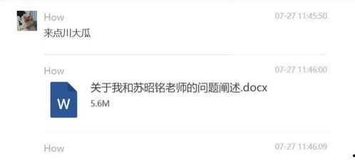 川大女博士爆料新闻最新消息,最新消息揭露惊人内幕”