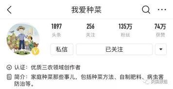 今日头条农民种菜,农民种菜新篇章