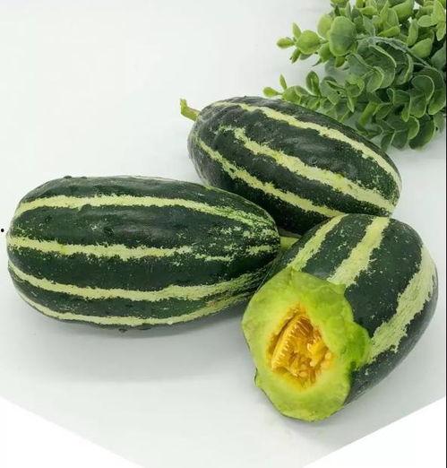 青皮瓜怎么吃吗,解锁美味新体验