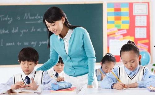 麻瓜学院职测老师,培养未来魔法师的秘密武器