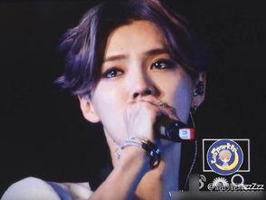 鹿晗演唱会的爆料视频,精彩瞬间与幕后花絮大曝光