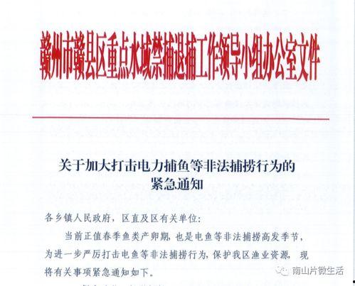 赣县打击非法电鱼头条,全面打击非法电鱼行为，守护水生态环境