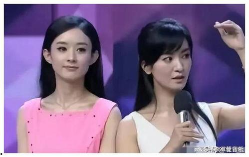 娱乐圈吃瓜爆料小说女主,瓜田里的璀璨星途