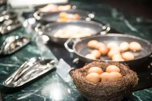 酒店玻璃吃瓜,一场别开生面的“吃瓜”盛宴