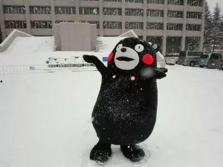 下雪了头条图片搞笑,雪景下的搞笑瞬间大盘点！”