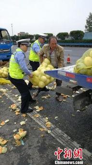 木姐吃瓜群众,揭秘娱乐圈幕后故事