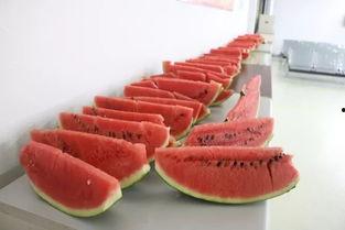 9广场吃瓜,揭秘网红美食背后的吃瓜故事