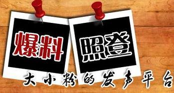 武汉新闻平台爆料,重大事件引发社会关注