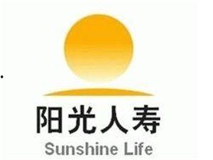 阳光保险上新闻头条,行业瞩目发展新篇章