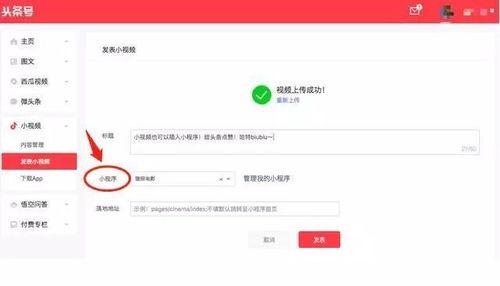 咋样打开头条的小程序,解锁便捷资讯新方式