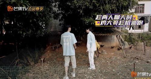 曹的网红谐音梗,梗界新宠，揭秘网红曹的趣味魅力！”