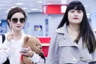 明星都有什么助理