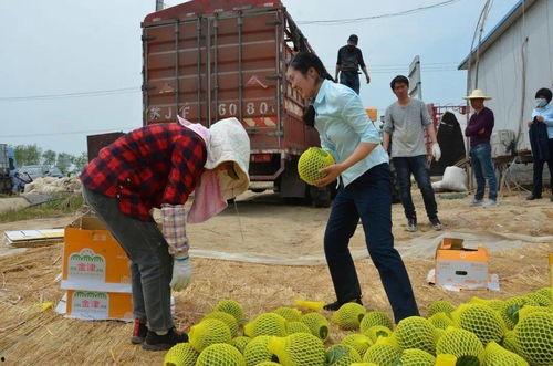 天津邮政吃瓜,吃瓜群众眼中的快递风云