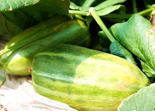 吃瓜最好方法,轻松享受夏日清凉