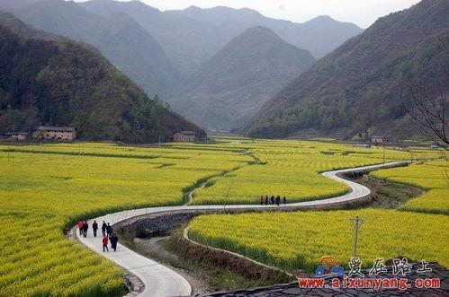 旬阳仁河口头条,探寻千年古镇的繁华变迁