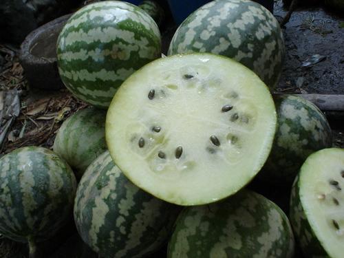 绿香宝瓜怎么吃,解锁美味新体验