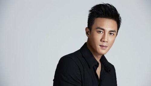 陕西 男明星,璀璨星河中的陕西骄傲”