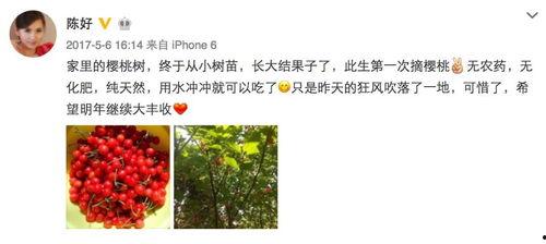 陈性女明星,璀璨星途与魅力人生