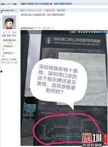 深圳龙岗新闻网友爆料,突发事件引发关注
