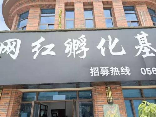 网红基地参观,揭秘网红产业的魅力与未来趋势