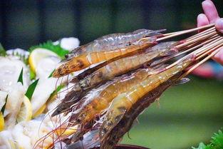 成都哪个鲶鱼精女网红,网络红人的魅力与争议