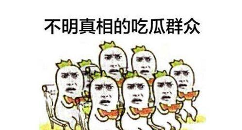 陈嘉欣吃瓜群众,吃瓜群众的视角，揭秘娱乐圈风云