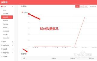 头条号个人信息如何备注,如何巧妙备注打造个性鲜明文章副标题