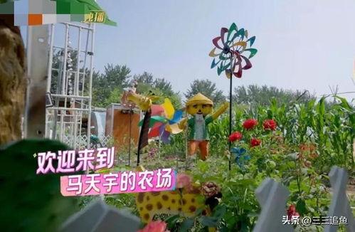 明星去农场,星光熠熠的农场日常