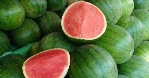 今日忌吃瓜,远离是非，静享宁静时光